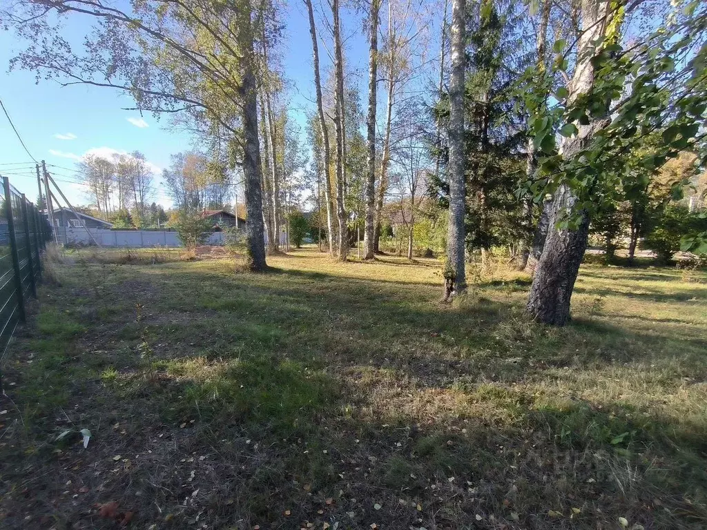 Участок в Ленинградская область, Всеволожский район, Куйвозовское ... - Фото 2