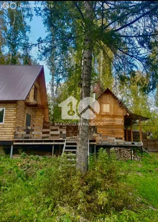 Дом в Новосибирск, садовое товарищество Сибиряк, Тихая улица (50 м) - Фото 0