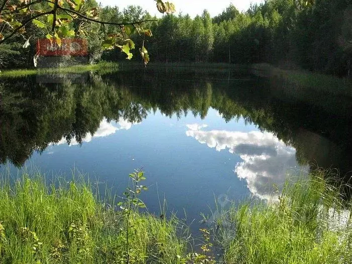 Участок в Рязанская область, Спасский район, Панинское с/пос, ... - Фото 0