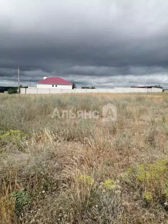 Участок в Ростовская область, Белокалитвинский район, Нижнепоповское ... - Фото 2