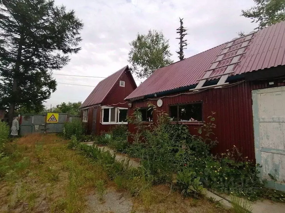 Участок в Сахалинская область, Южно-Сахалинск Труженик СНТ, ул. ... - Фото 0