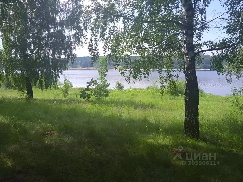 Участок в Ярославская область, Ярославль Березовая Роща-1 СНТ,  (11.0 ... - Фото 2