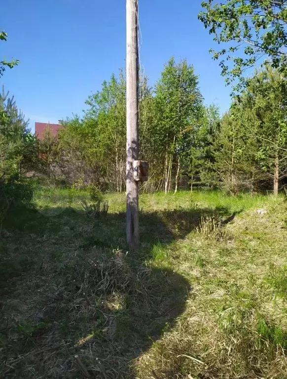 Участок 6 сот. (СНТ, ДНП) - Фото 0
