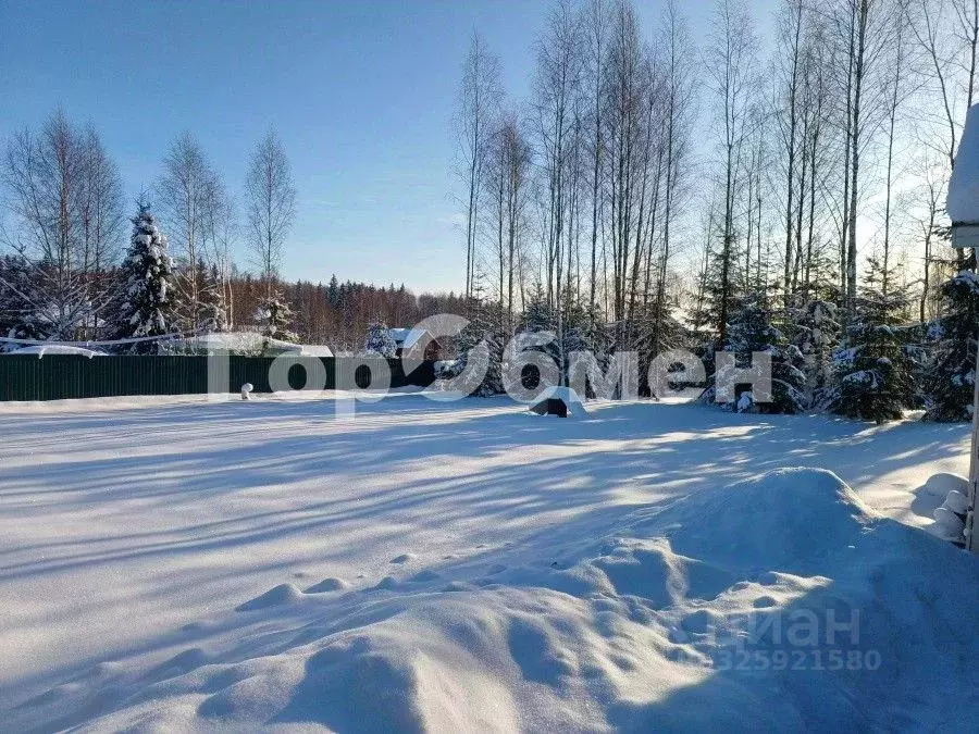 Участок в Московская область, Клин городской округ, Заповедное дп 33 ... - Фото 1