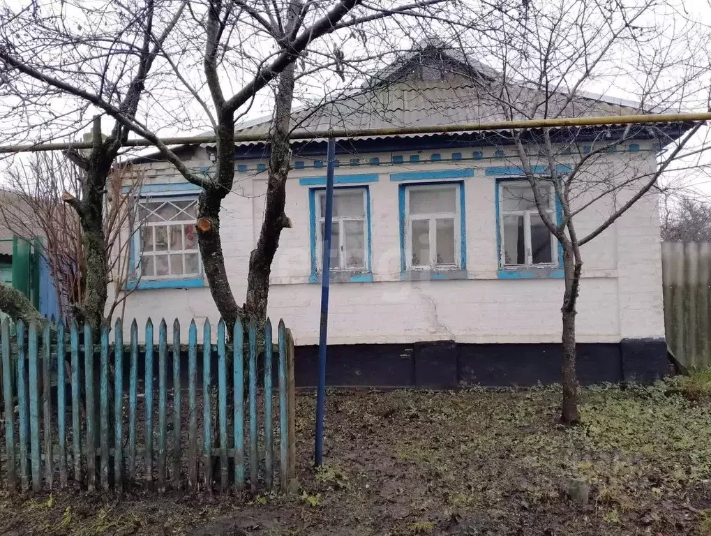 Дом в Белгородская область, Корочанский район, Соколовское с/пос, с. ... - Фото 2