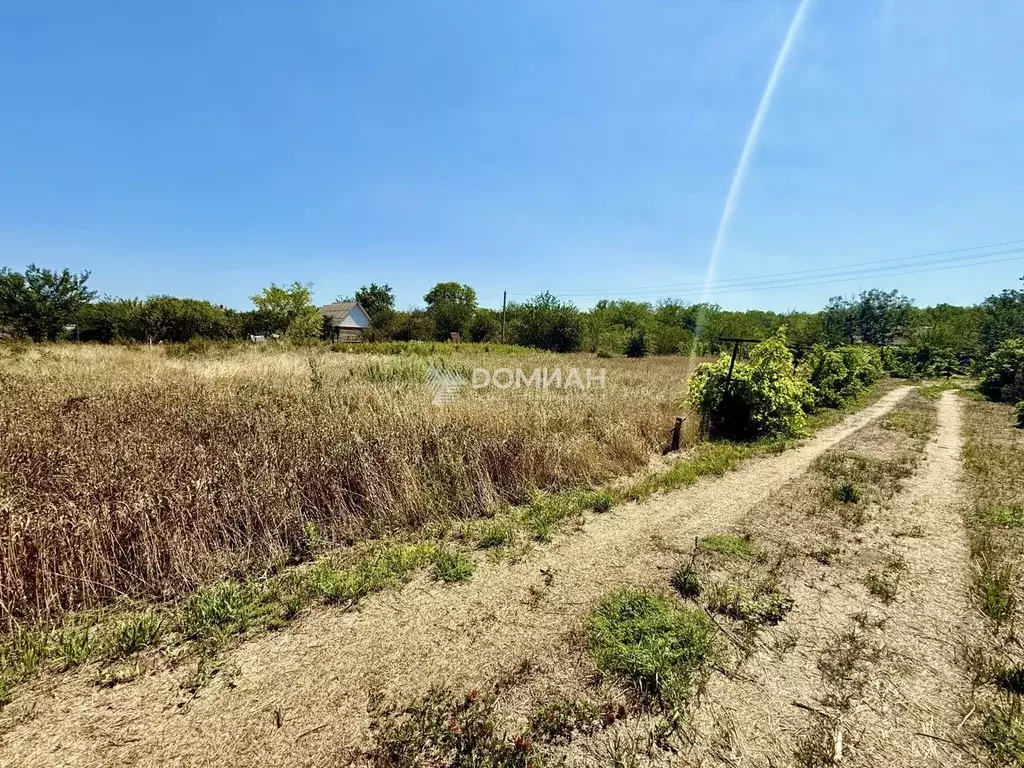 Участок в Ростовская область, Октябрьский район, Бессергеневское ... - Фото 2