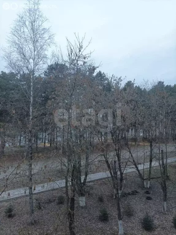 1-комнатная квартира: Конаково, улица Гагарина, 6 (31.1 м) - Фото 2