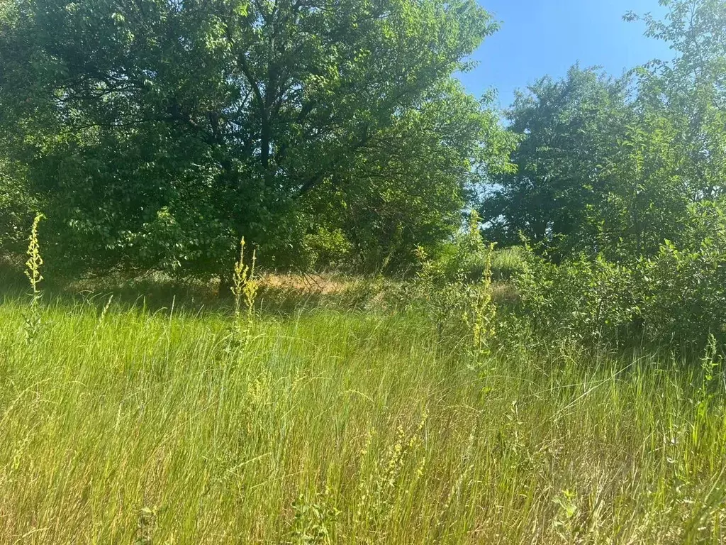 Участок в Краснодарский край, Армавир Орбита ДНТ, 15 (7.95 сот.) - Фото 0