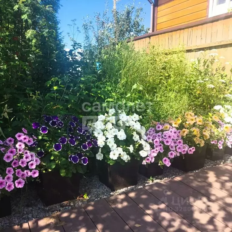 Дом в Ханты-Мансийский АО, Сургут пл. Советов (60 м) - Фото 2