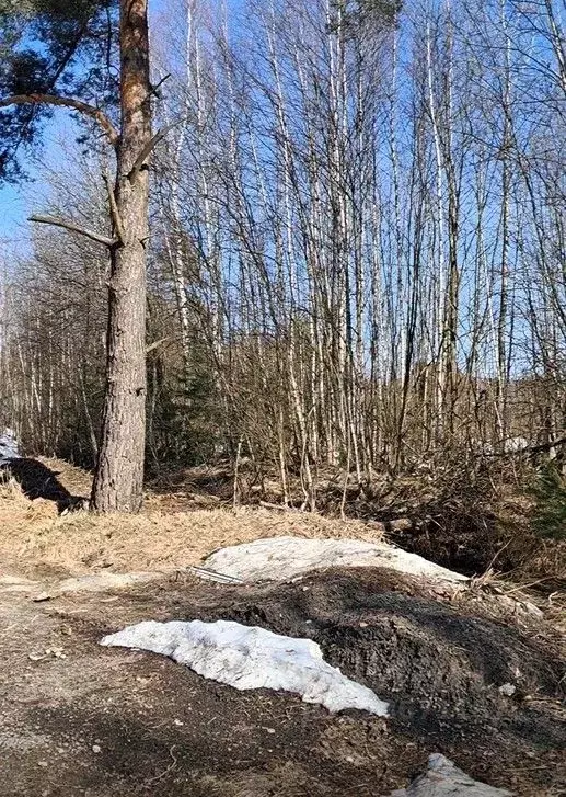 Участок в Московская область, Лосино-Петровский городской округ, д. ... - Фото 1