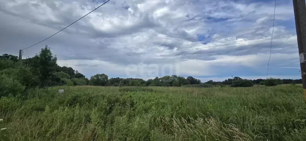 Участок в Калининградская область, Багратионовский муниципальный ... - Фото 1