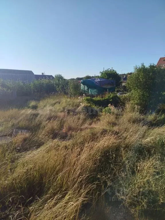 Участок в Севастополь с. Осипенко, ш. Качинское (9.0 сот.) - Фото 2