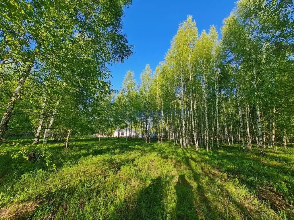 Участок в Нижегородская область, Кстовский муниципальный округ, с. ... - Фото 0