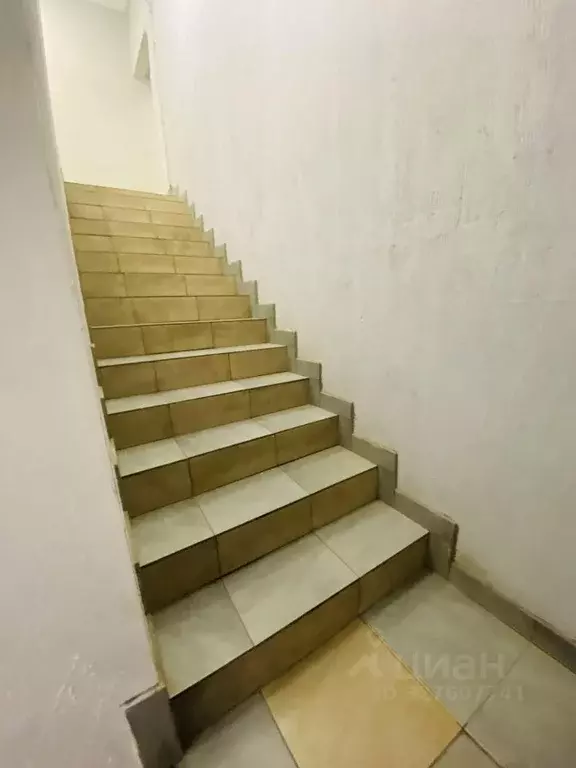 Студия Москва ул. Багрицкого, 61 (27.0 м) - Фото 1