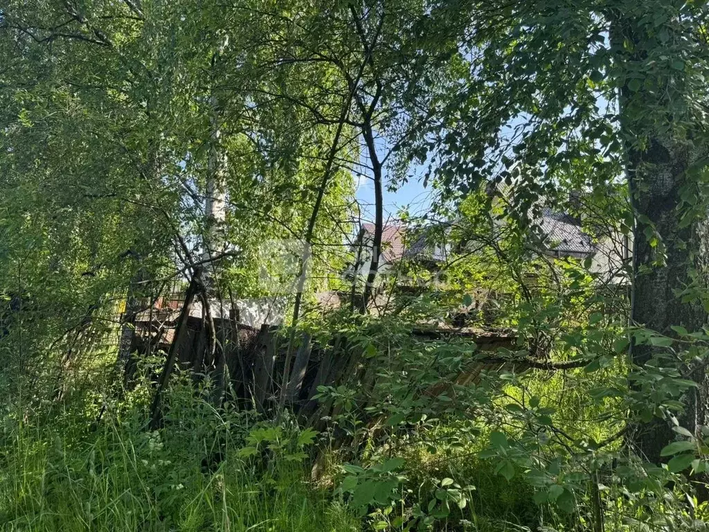 Участок в Санкт-Петербург Горелово тер., ул. Можайского, 4 (12.0 сот.) - Фото 1