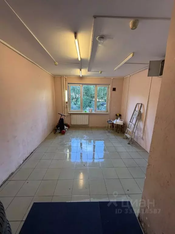 Студия Санкт-Петербург ул. Шотмана, 18к2 (18.1 м) - Фото 1