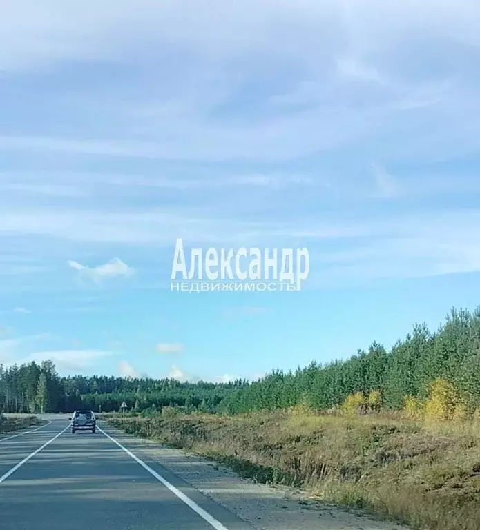 Участок в Карелия, Лахденпохский муниципальный округ, пос. Райвио ул. ... - Фото 2