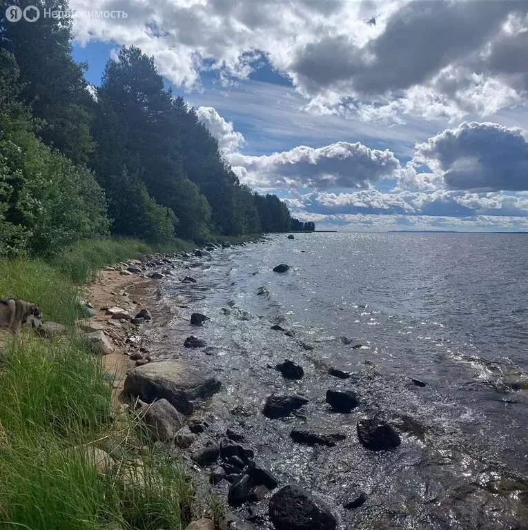 Участок в Медвежьегорский район, Пиндушское городское поселение, ... - Фото 0