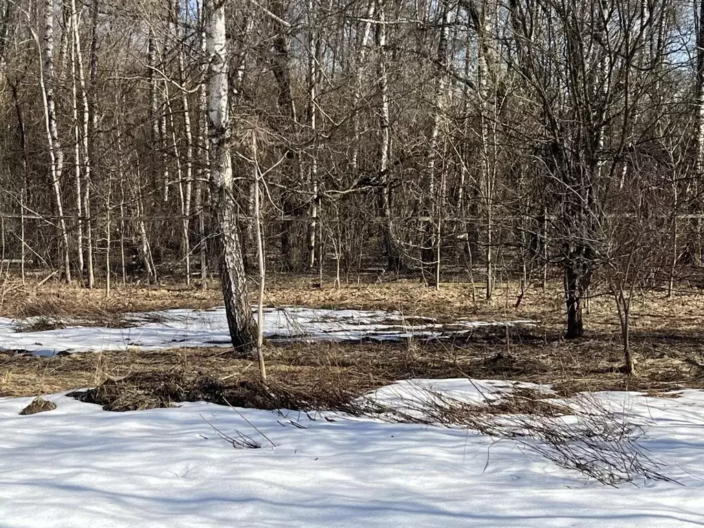 Участок в Московская область, Химки Клязьма-Старбеево мкр, Вашутино ... - Фото 2