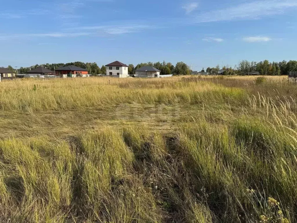Участок в Брянская область, Брянский район, Новодарковичское с/пос, д. ... - Фото 1