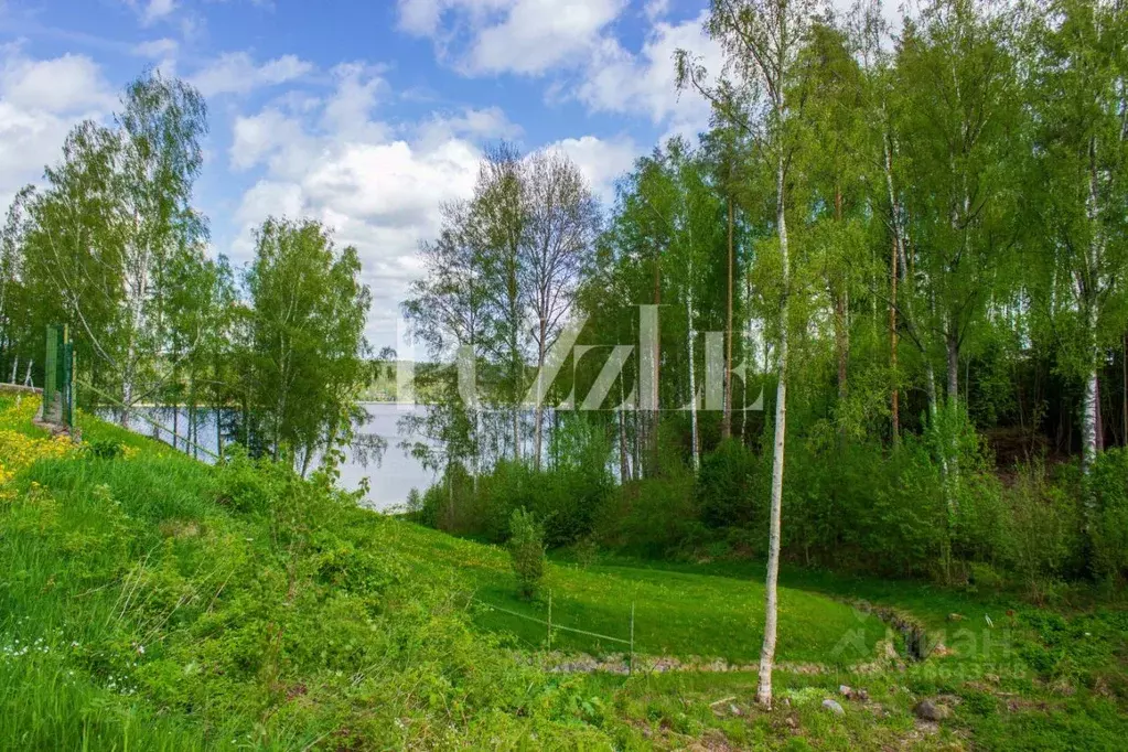 Участок в Ленинградская область, Приозерский район, Петровское с/пос, ... - Фото 1