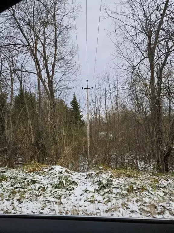 Участок в Новгородская область, Демянский муниципальный округ, д. ... - Фото 1