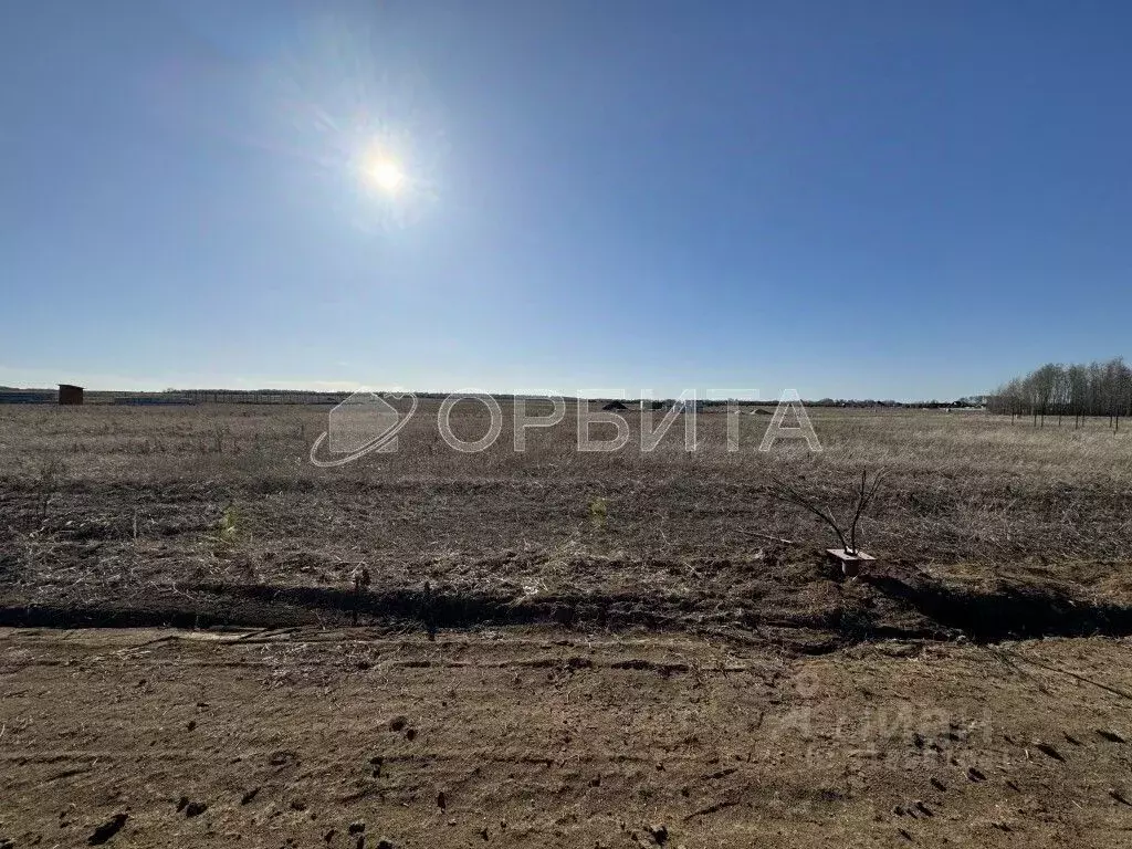 Участок в Тюменская область, Тюменский район, Новокаменский кп ул. ... - Фото 1