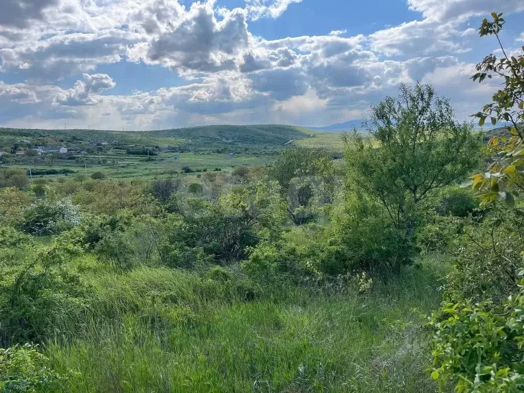Участок в Крым, Феодосия муниципальный округ, с. Виноградное ул. ... - Фото 1
