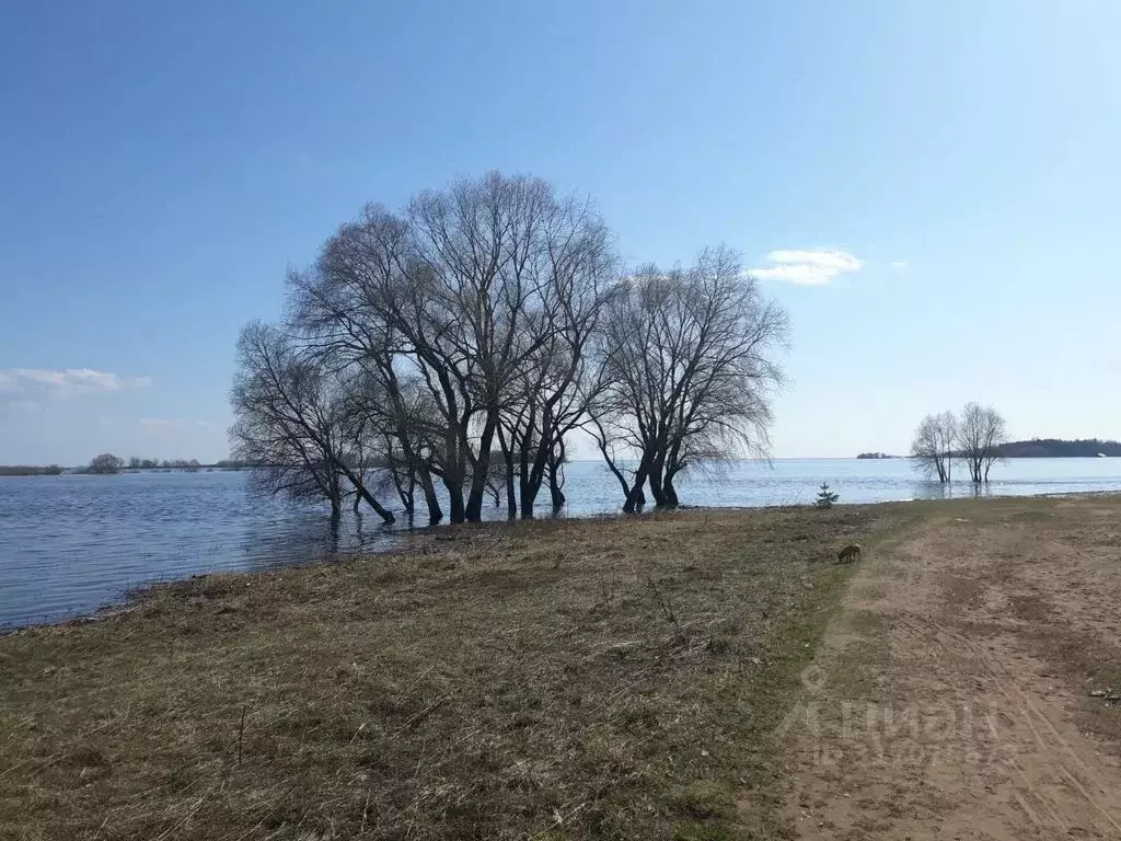 Комната Новгородская область, Великий Новгород просп. Мира, 23к2 - Фото 0
