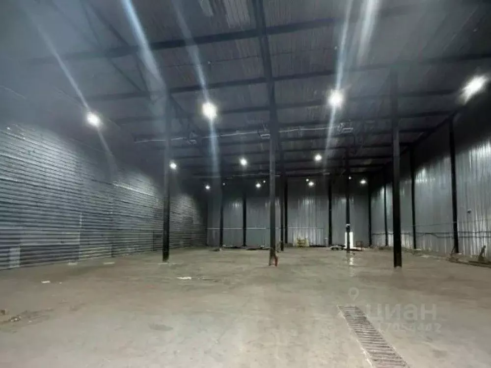 Торговая площадь в Московская область, Химки Сходня мкр, ул. ... - Фото 0