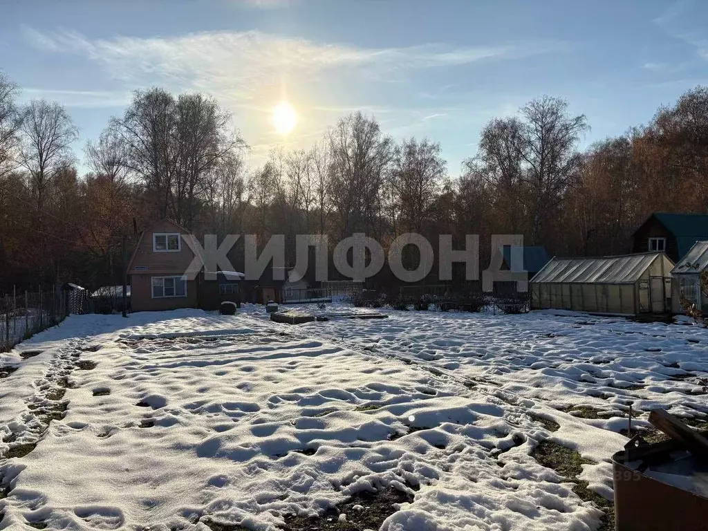 Дом в Новосибирская область, Новосибирский район, Барышевский ... - Фото 1