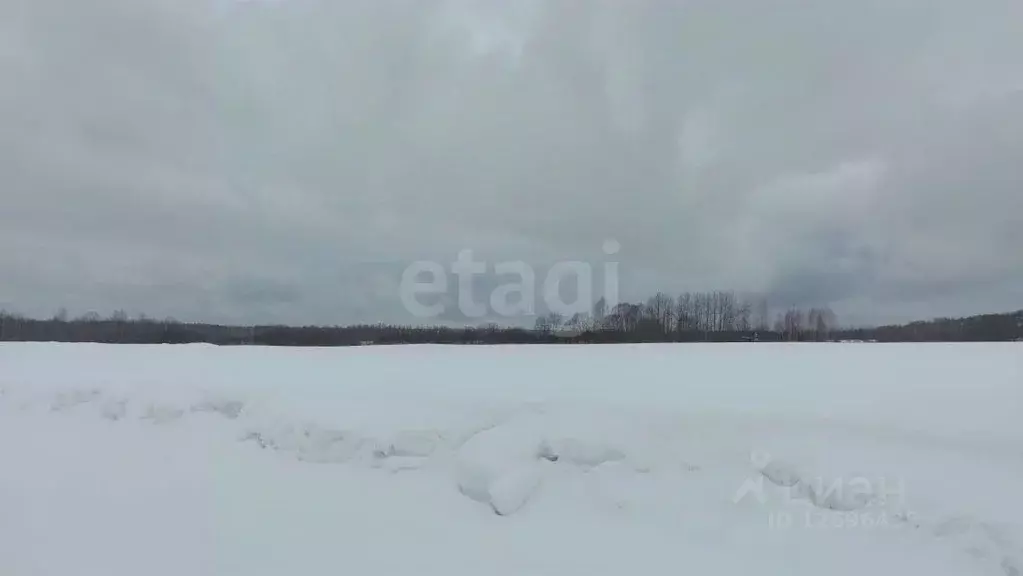 Участок в Московская область, Мытищи городской округ, д. Протасово, ... - Фото 1