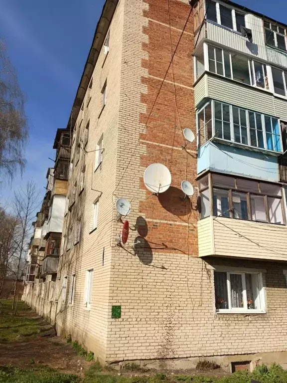 2-к кв. Тульская область, Липки Киреевский район, ул. Гагарина, 13 ... - Фото 2