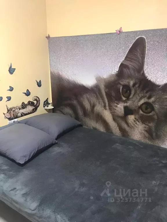 Комната Москва Черноморский бул., 7К1 (12.0 м) - Фото 1