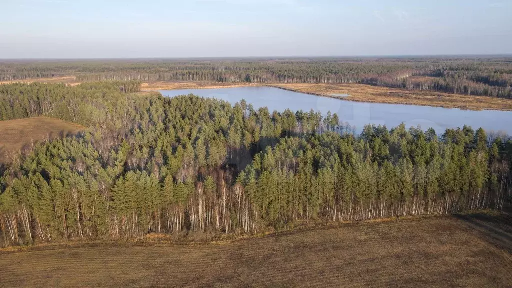 Участок 6,45 га (СНТ, ДНП) - Фото 0