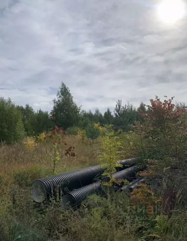 Участок в Владимирская область, Гороховецкий район, Куприяновское ... - Фото 0