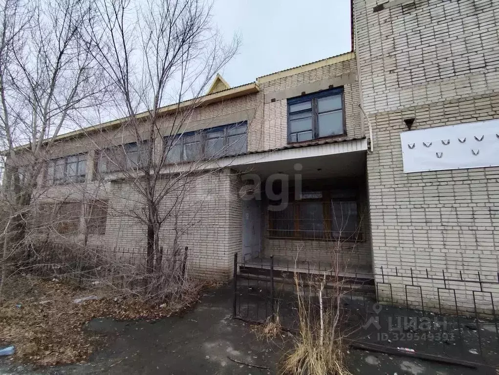 Помещение свободного назначения в Курганская область, Курган ул. ... - Фото 1