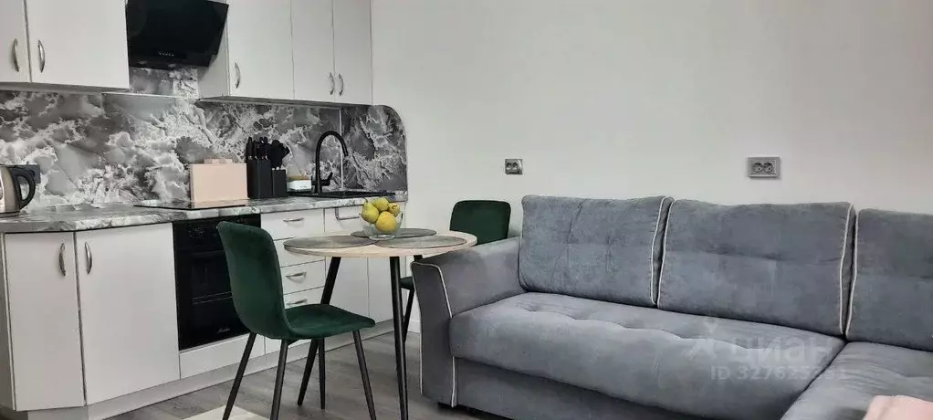 Студия Санкт-Петербург просп. Ветеранов, 212 (24.3 м) - Фото 2