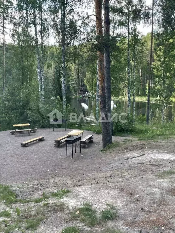 Участок 6 сот. (СНТ, ДНП) - Фото 1