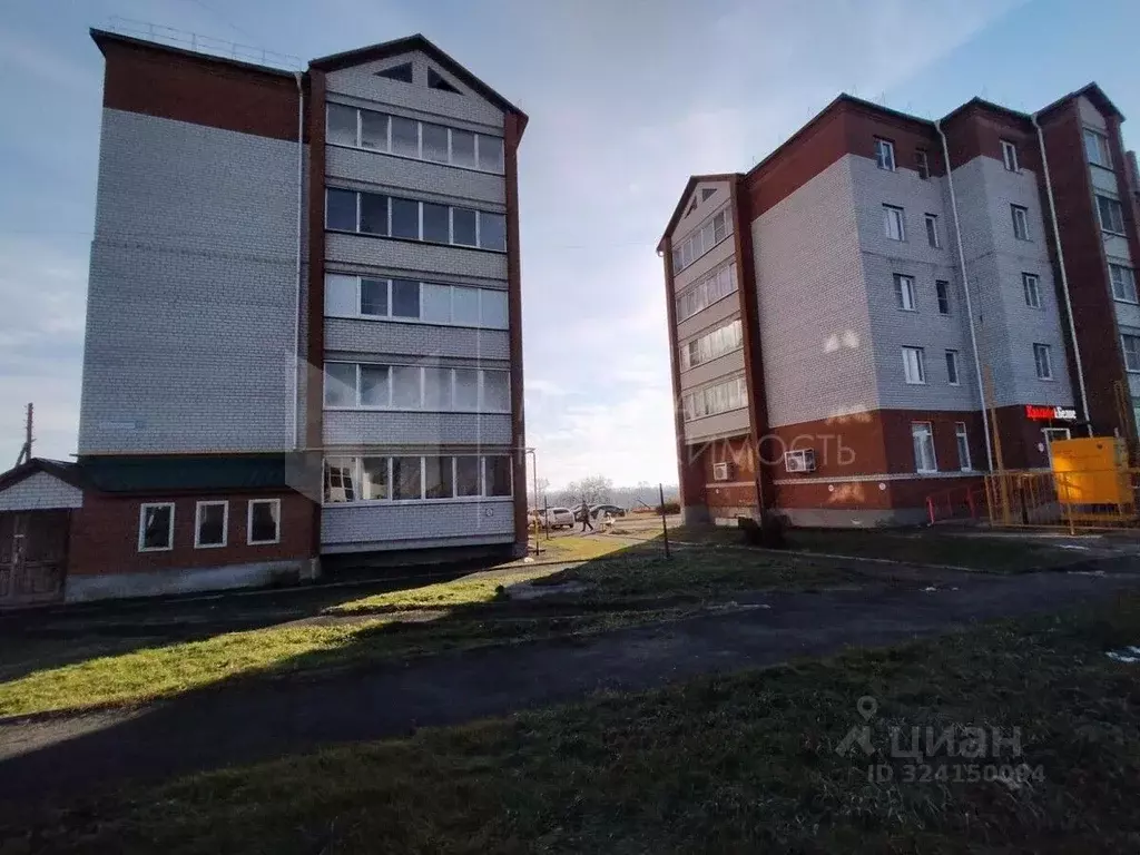 Помещение свободного назначения в Тюменская область, Ишим Казанская ... - Фото 1