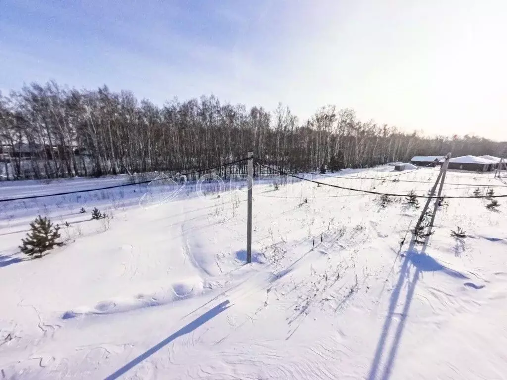Участок в Тюменская область, Тюменский муниципальный округ, д. Елань ... - Фото 1