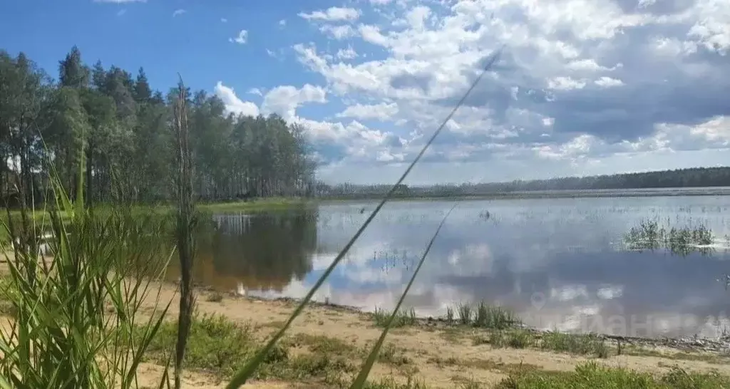 Участок в Ленинградская область, Всеволожский район, Токсовское ... - Фото 1