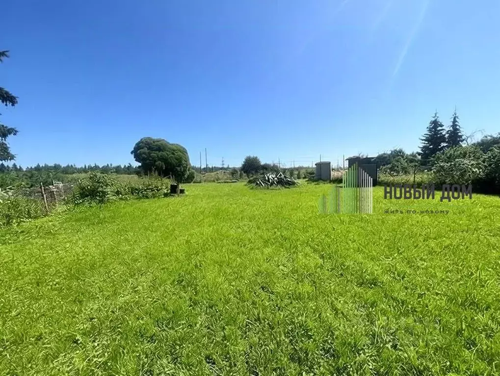 Участок в Новгородская область, Чудово Калинка садовое товарищество,  ... - Фото 1