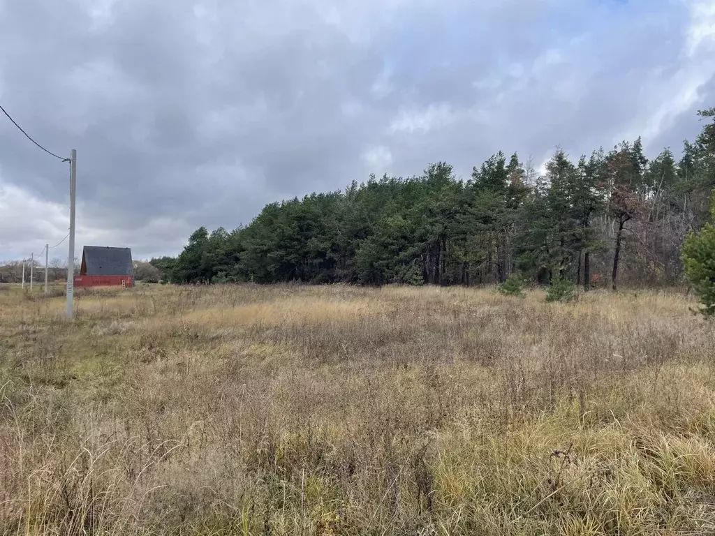Участок в Курская область, Горшеченский район, Никольский сельсовет, ... - Фото 2
