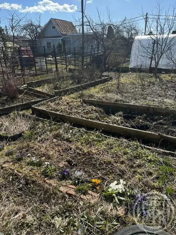 Дом в Санкт-Петербург АТП-71 СНТ, ул. Дубовая, 13 (75 м) - Фото 1