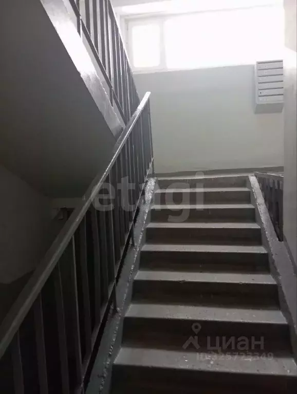 1-к кв. Алтайский край, Барнаул ул. Матросова, 10 (32.5 м) - Фото 2