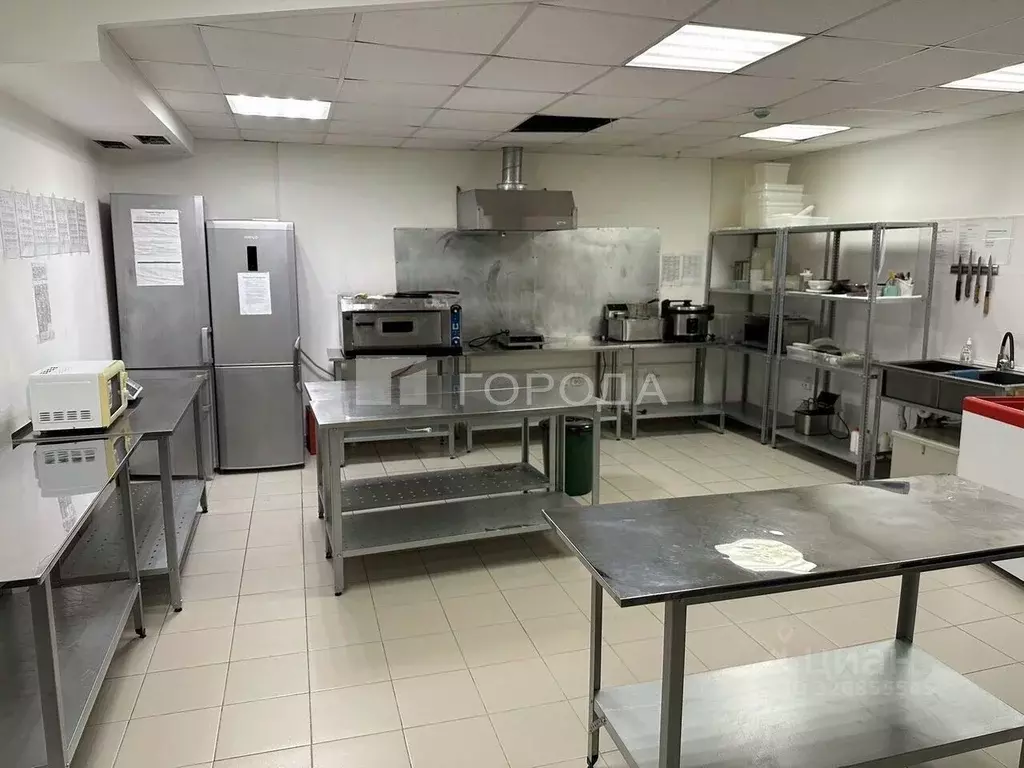 Помещение свободного назначения в Новосибирская область, Новосибирск ... - Фото 1