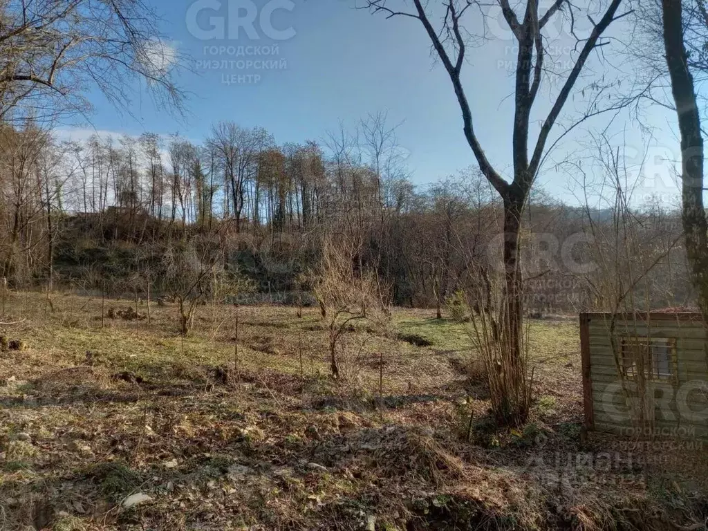 Участок в Краснодарский край, Сочи городской округ, с. Вардане-Верино, ... - Фото 1