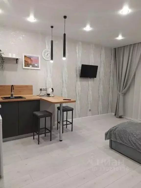 Студия Татарстан, Казань ул. Аделя Кутуя, 110Е (30.0 м) - Фото 2