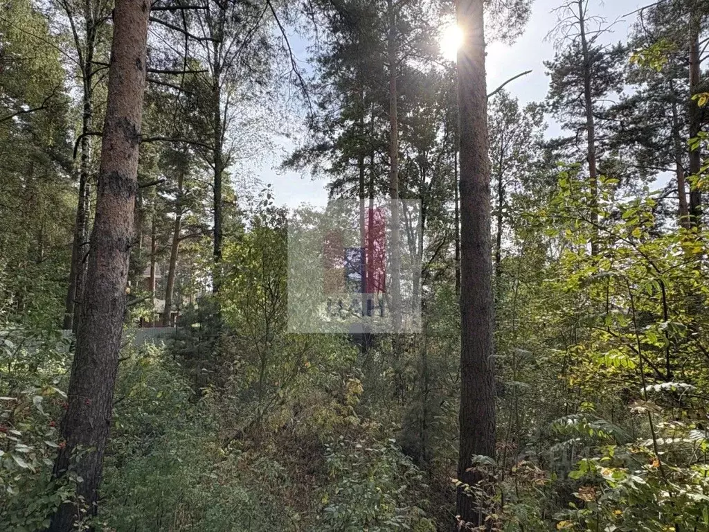 Участок в Московская область, Раменский муниципальный округ, д. ... - Фото 1